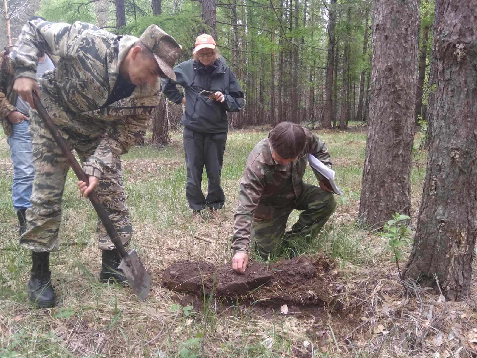 Рослесозащита пушкино фото