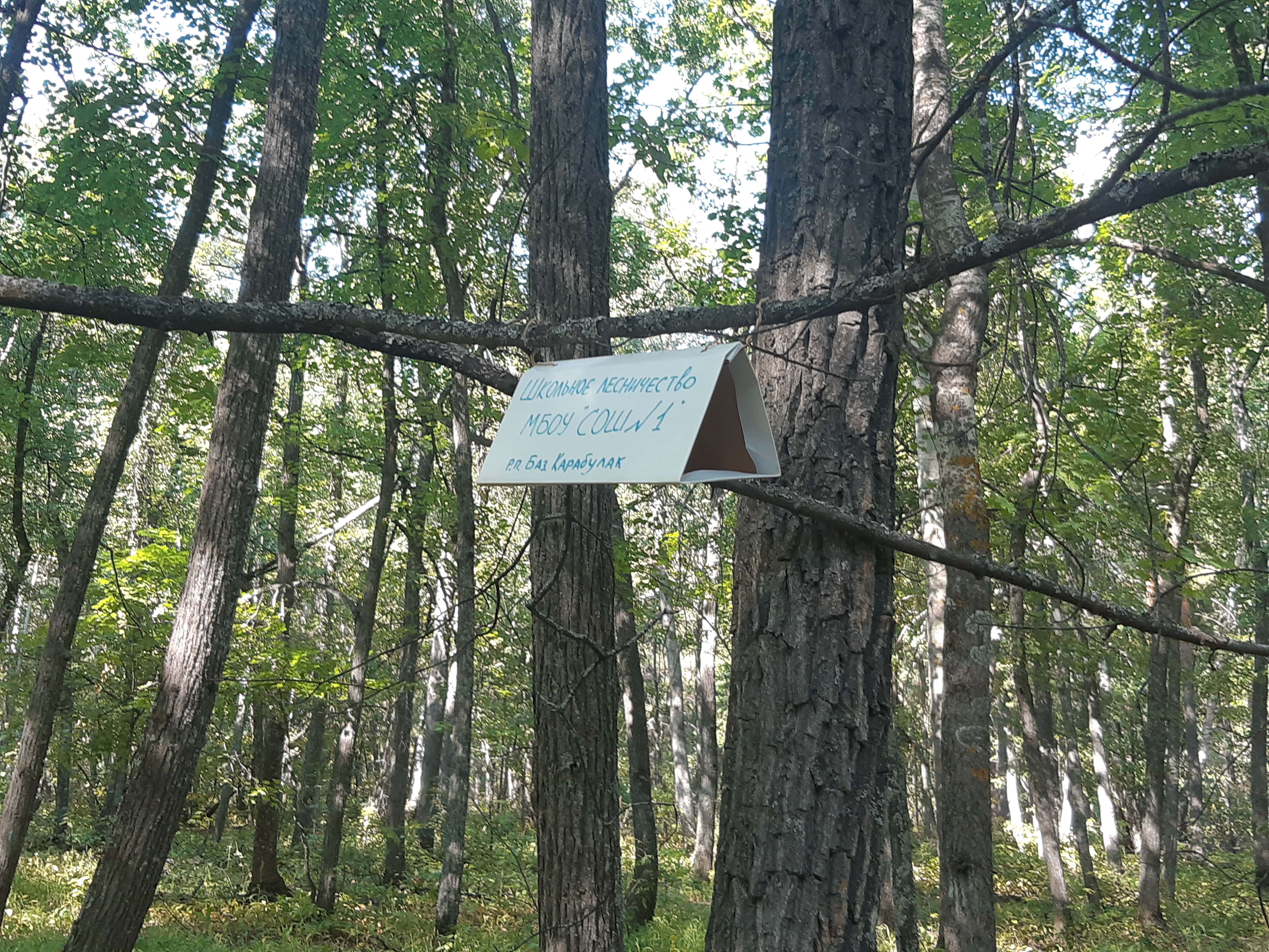 Центр защиты леса Саратов